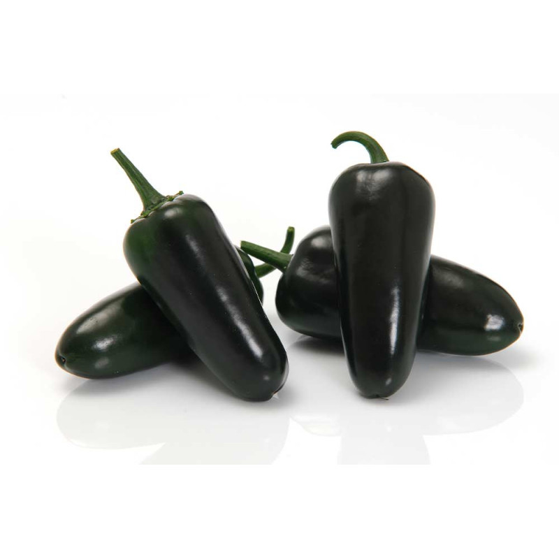 Färska Jalapenos 1hg Färska Jalapenos 1hg
